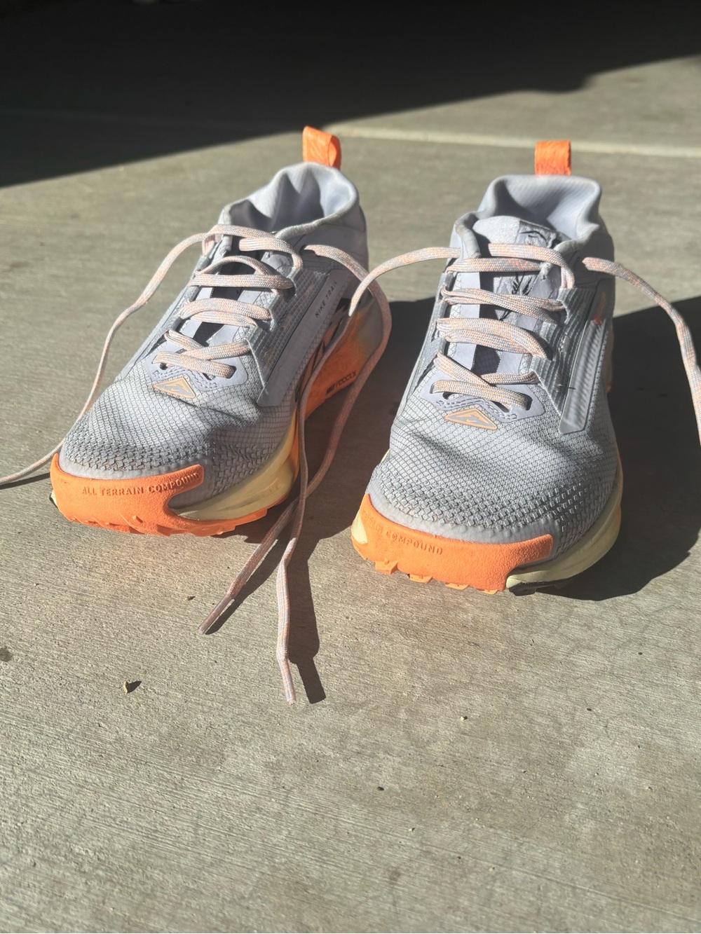 Nike Pegasus Trail 5 Gore-Tex Waterproof Running Shoe Ghost/Black/Clementine